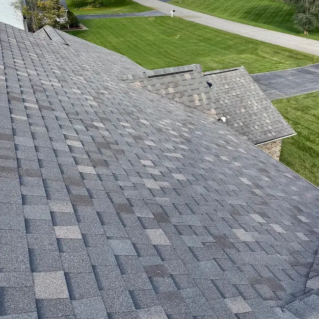 Roof shingles