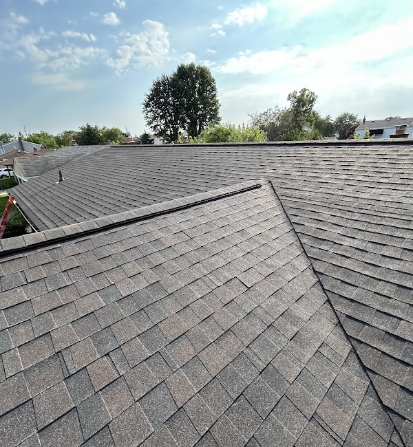 A rooftop with asphalt shingles extends under a clear sky, surrounded by trees and buildings. No landmarks or historical buildings visible.