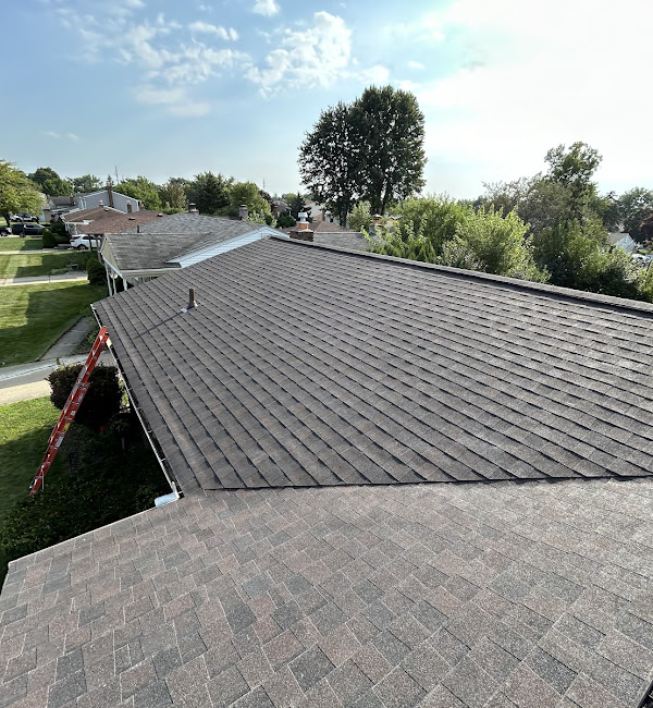 Rooftop view of suburban neighborhood with neatly arranged houses, surrounded by green trees under a clear sky. A red ladder leans against a house.