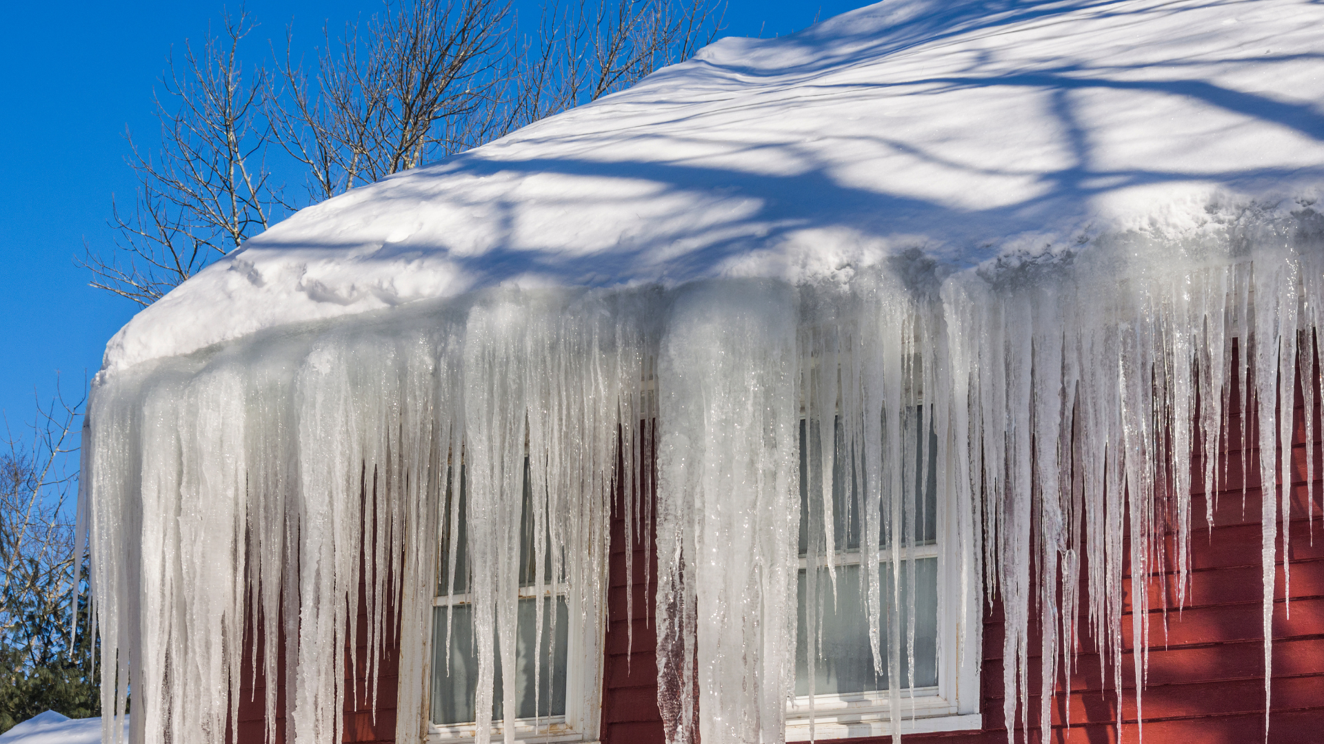 ice and water shield would have prevented damage caused by ice dams such as this